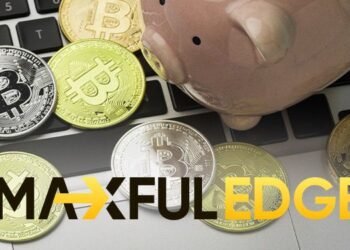 MaxfulEdge: Komfortable Zusammenarbeit und strategische Unterstützung