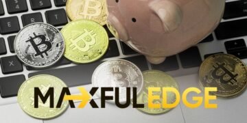 MaxfulEdge: Komfortable Zusammenarbeit und strategische Unterstützung